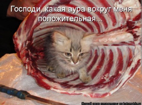 Господи, какая аура вокруг положительная... Я