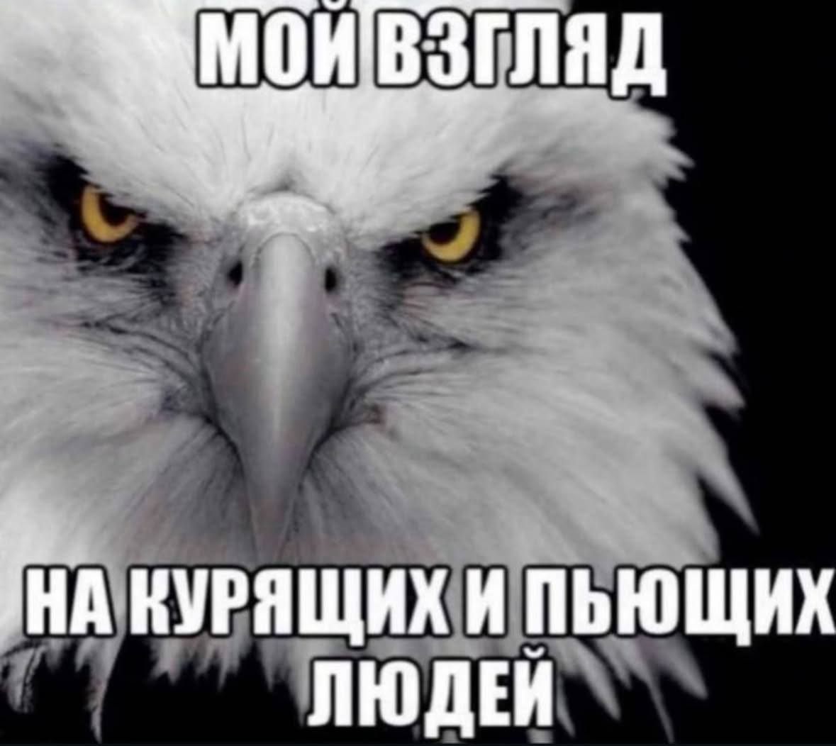 МОИВЗГЛЯД КУРЯЩИХ И ПЬЮЩИХ