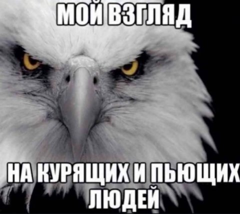 МОИВЗГЛЯД КУРЯЩИХ И ПЬЮЩИХ