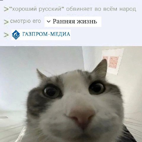 >"хороший русский" обвиняет во всём народ смотрю его Ранняя жизнь ГАЗПРОМ-МЕДИА