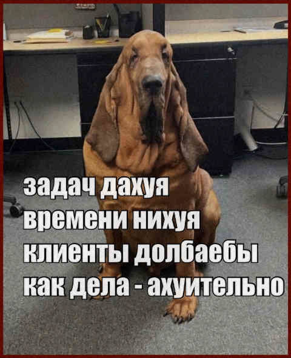 задач дакуя времени нихуя клиенты долбаебы как дела ахуительно