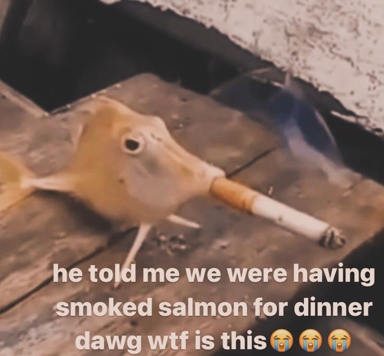 he me we were having smoked salmon for dinner dawg wtf is this