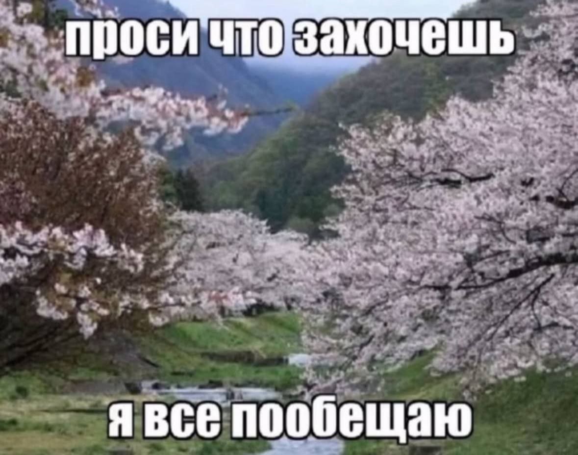 „проси ЧТО захочешь me on явсе пообещаю