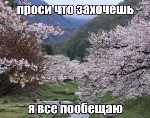 „проси ЧТО захочешь me on явсе пообещаю