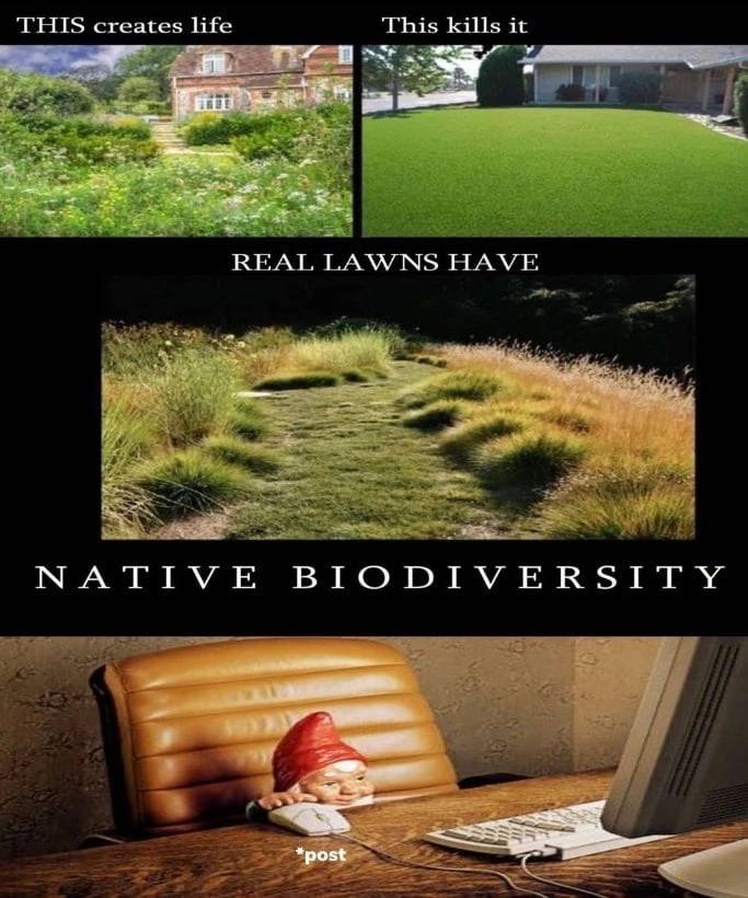 creates life This kills it a ВРАГ, LAWNS NATIVE BIODIVERSITY *post К