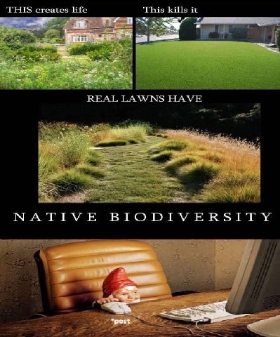 creates life This kills it a ВРАГ, LAWNS NATIVE BIODIVERSITY *post К
