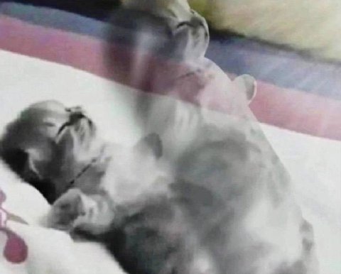 пароль покидает мою память спустя 2 секунды, как я его придумал