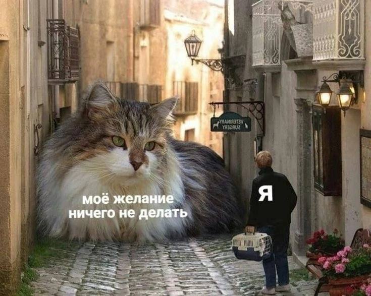 Я мое желание ничего не делать