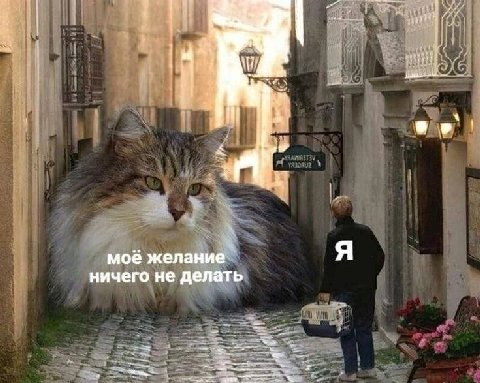 Я мое желание ничего не делать