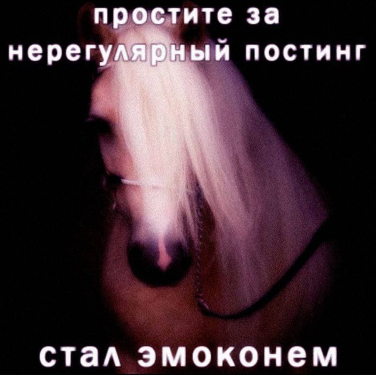 простите за нерегулярный постинг стал эмоконем