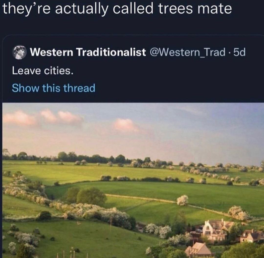 they’re actually called trees mate Western Traditionalist @Western_Trad Leave cities. Show this thread