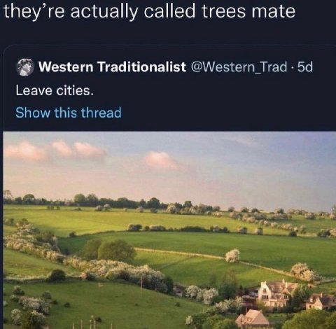 they’re actually called trees mate Western Traditionalist @Western_Trad Leave cities. Show this thread