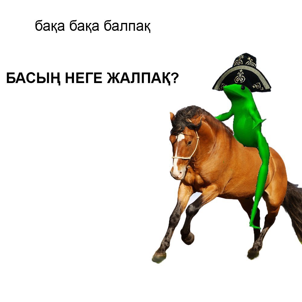 бака бака балпак БАСЫН НЕГЕ ЖАЛПАК?