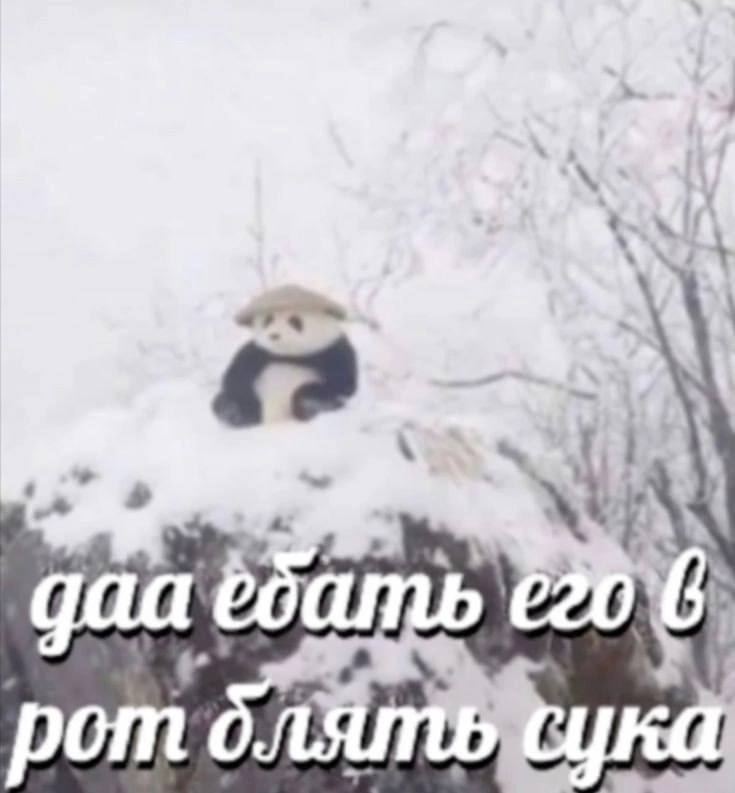 a ротс