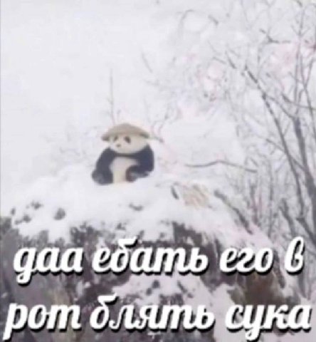 a ротс