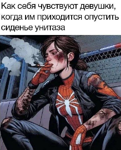Как себя чувствуют девушки, когда приходится опустить сиденье унитаза