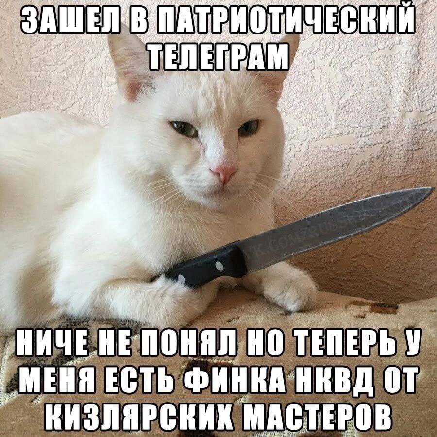 ПАТРИОТИЧЕ ЕПРАМ ОТЕПЕРЬУ МЕНЯ ЕСТЬ ФИНКАНКВД MACT