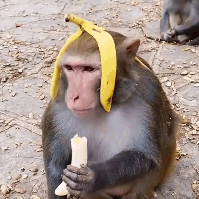 if