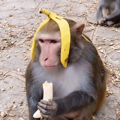 if