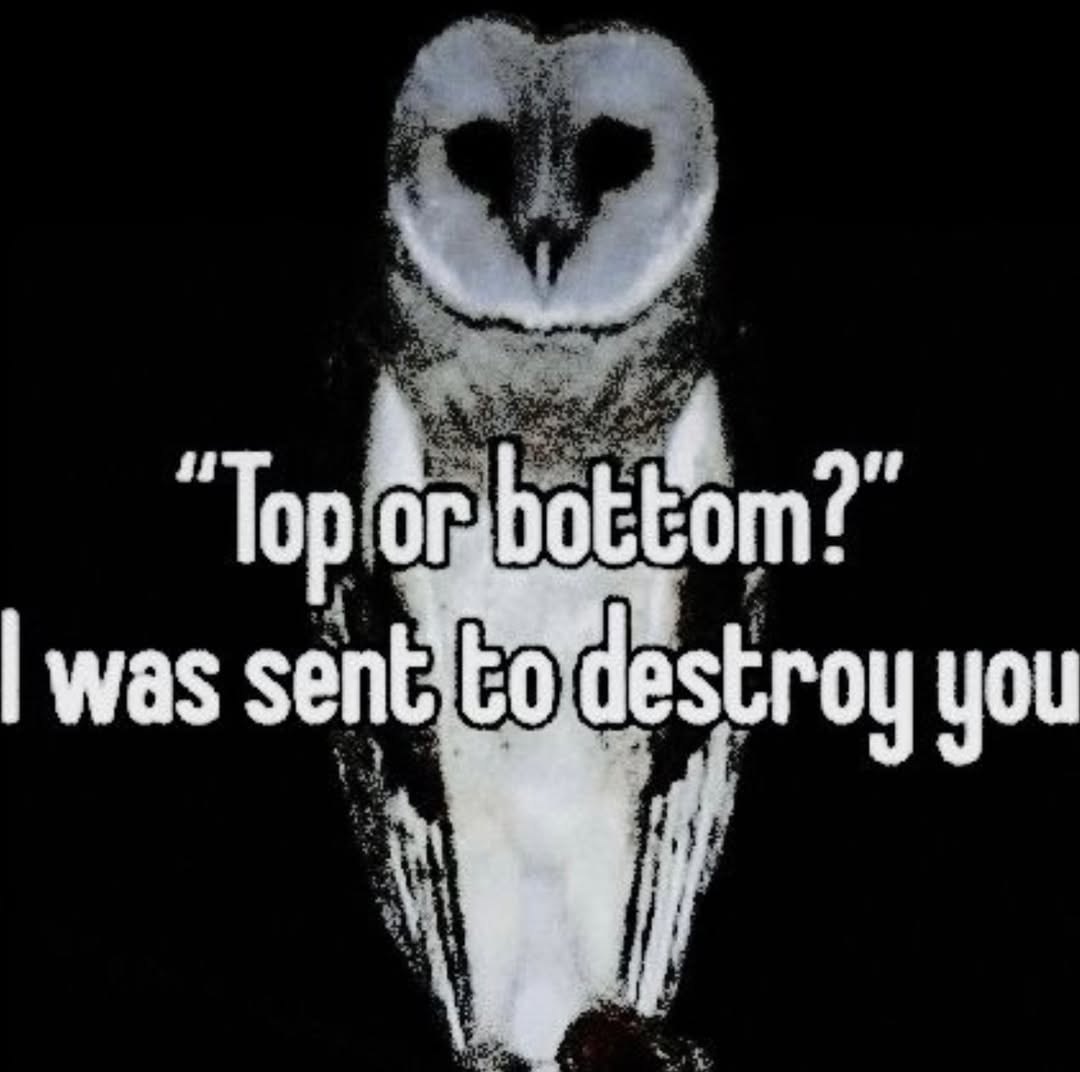 А Top was you