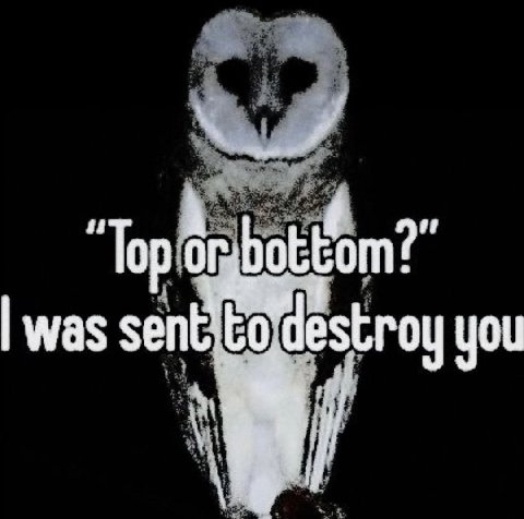 А Top was you