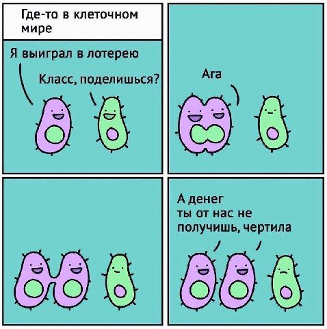 Где-то в клеточном мире Я выиграл в лотерею Класс, поделишься? Ага 6 А денег ты от нас не получишь, чертила
