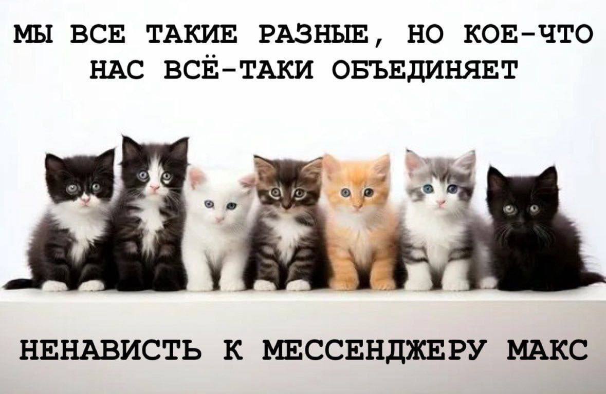 МЫ ВСЕ ТАКИЕ РАЗНЫЕ, НО КОЕ-ЧТО НАС ВСЕ-ТАКИ ОБЪЕДИНЯЕТ НЕНАВИСТЬ К МЕССЕНДЖЕРУ МАКС