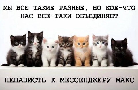 МЫ ВСЕ ТАКИЕ РАЗНЫЕ, НО КОЕ-ЧТО НАС ВСЕ-ТАКИ ОБЪЕДИНЯЕТ НЕНАВИСТЬ К МЕССЕНДЖЕРУ МАКС