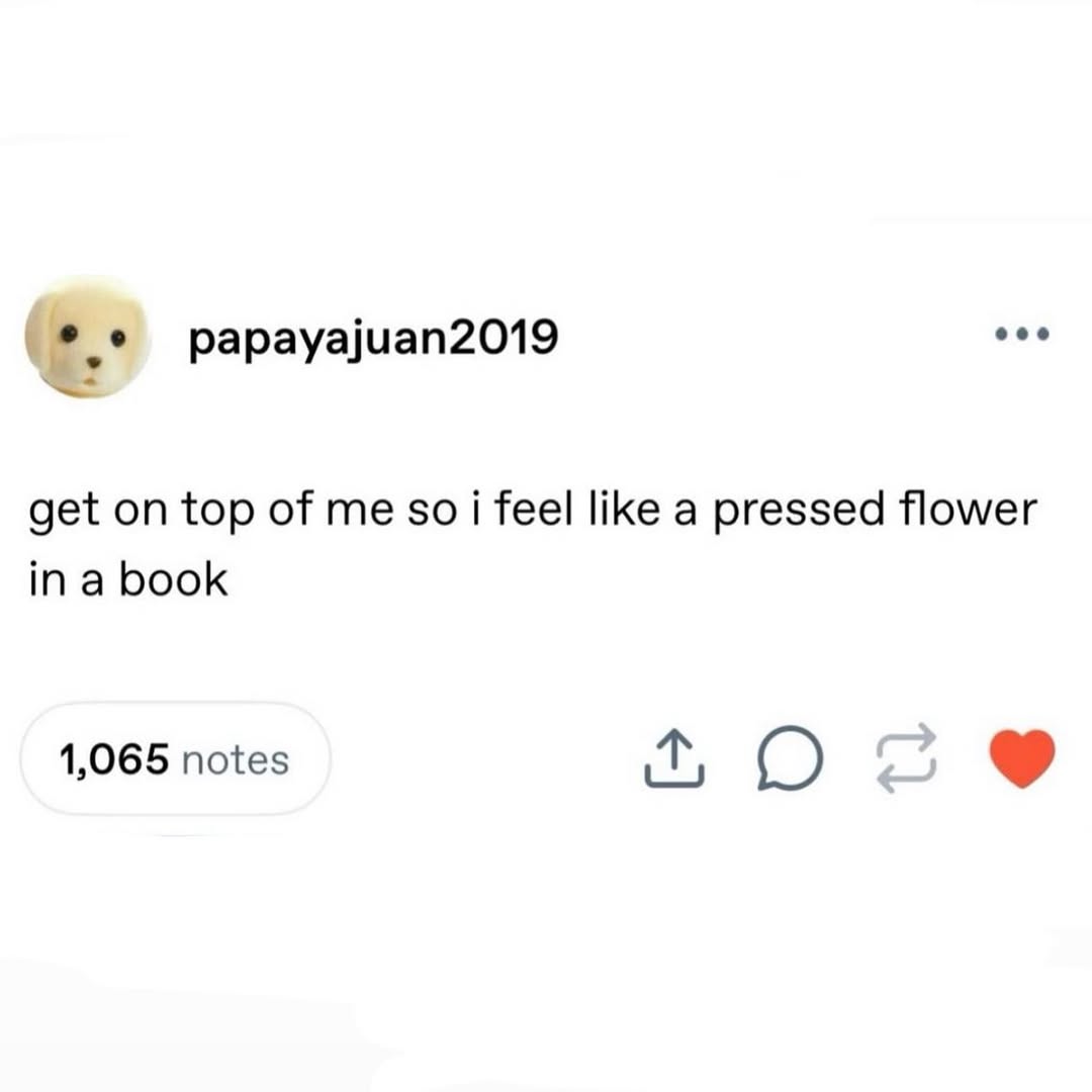 papayajuan2019 eee get on top of me soi feel like a pressed flower in a book 1,065 notes