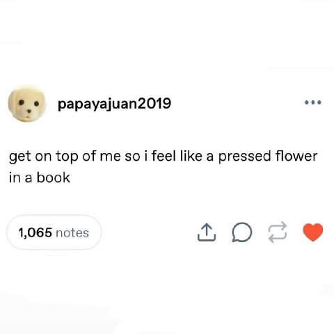 papayajuan2019 eee get on top of me soi feel like a pressed flower in a book 1,065 notes