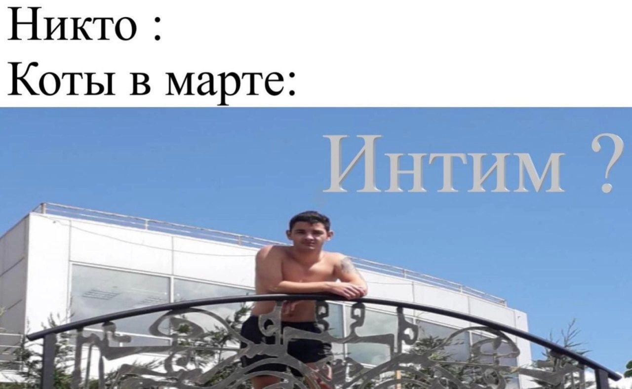 Никто Коты в марте: Интим