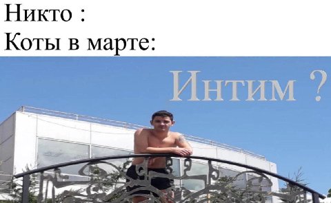 Никто Коты в марте: Интим