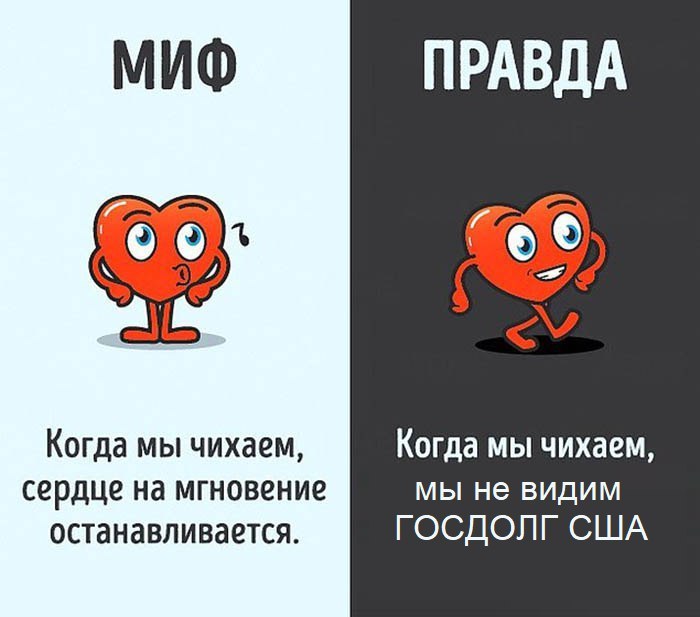 Когда мы чихаем, Когда мы чихаем, сердце на мгновение мы не видим останавливается. ГОСДОЛГ США