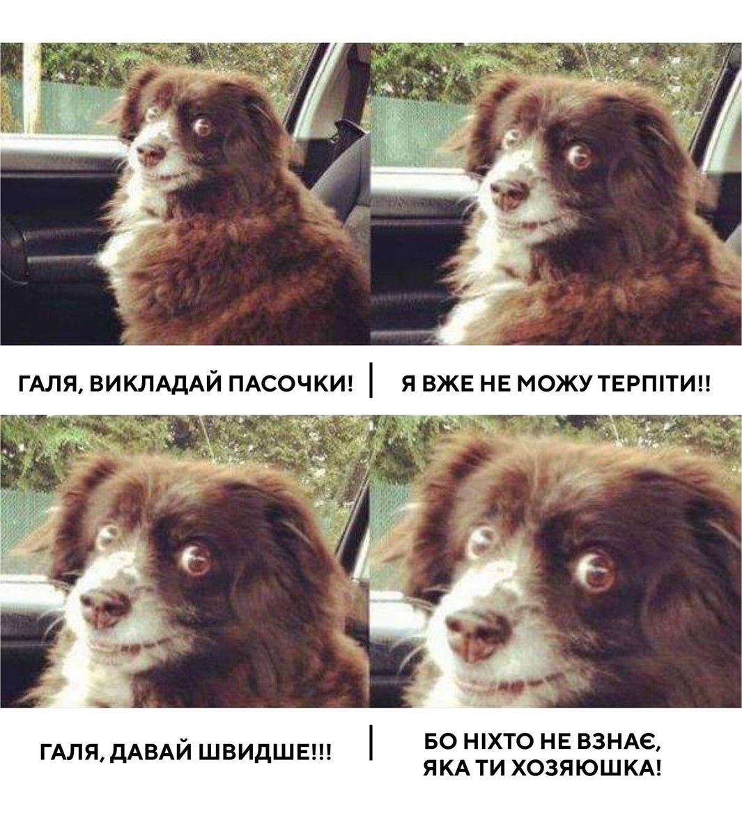 4 Я ВЖЕ НЕ МОЖУ ТЕРШТИ!! ГАЛЯ, ВИКЛАДАЙ HIXTO HE B3HAE, TANIA, ДАВАЙ ШВИДШЕ!! AKA ХОЗЯЮШКА!