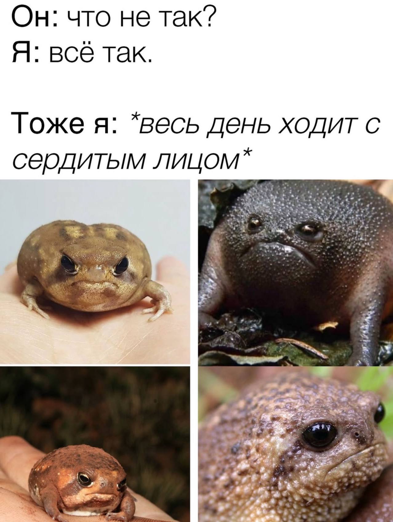 Он: что не так? Я: всё так. Тоже я: *весь день ходит с сердитым wie