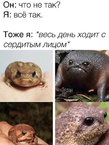 Он: что не так? Я: всё так. Тоже я: *весь день ходит с сердитым wie