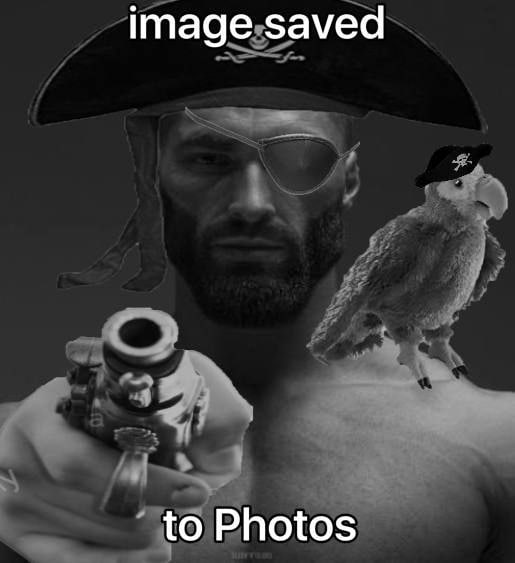 image saved to Photos