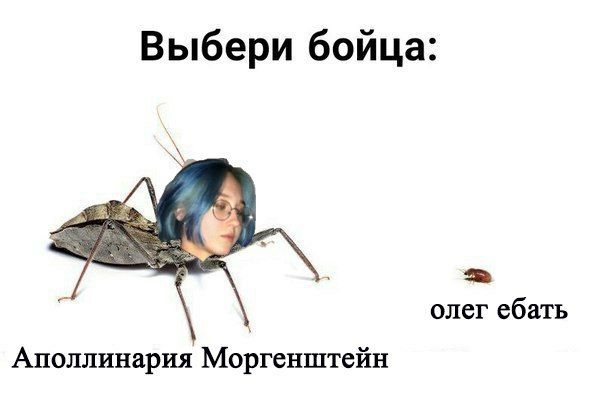 Выбери бойца: олег ебать Аполлинария Моргенштейн