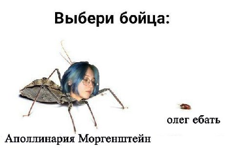 Выбери бойца: олег ебать Аполлинария Моргенштейн