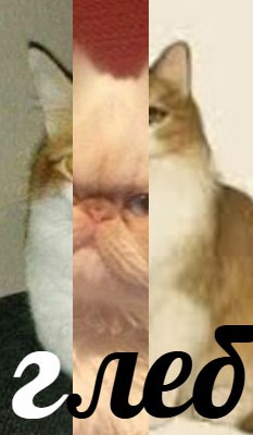 fy