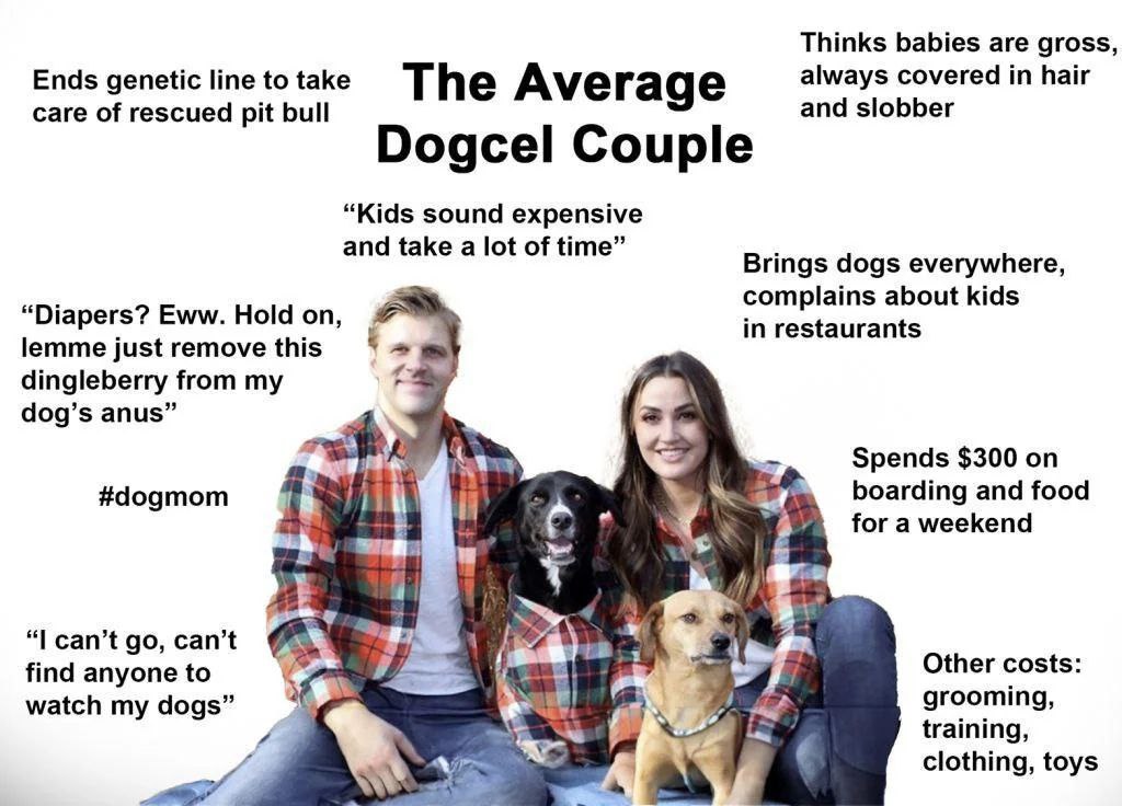 Thinks babies are gross, Ends genetic linetotake ТИе Ave rage always covered in hair care of rescued pit bull and slobber Dogcel Couple “Kids sound expensive and take a lot of time Brings dogs everywh