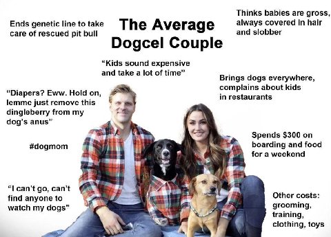Thinks babies are gross, Ends genetic linetotake ТИе Ave rage always covered in hair care of rescued pit bull and slobber Dogcel Couple “Kids sound expensive and take a lot of time Brings dogs everywh