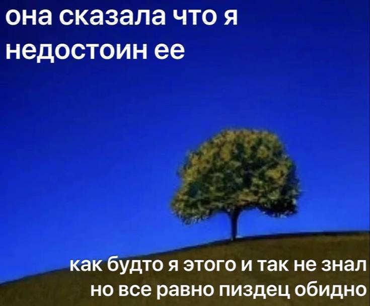 она сказала что я недостоин ее как будто я этого и так не знал но все равно пиздец обидно