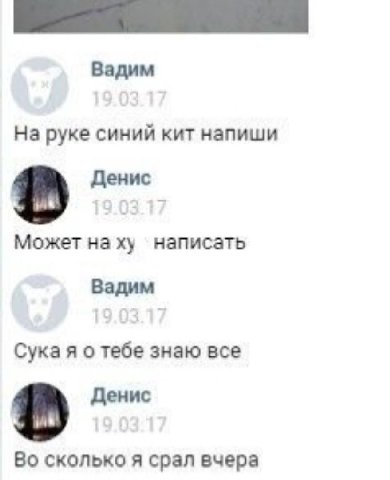 Вадим На руке синий кит напиши Денис Может наху написать Вадим Сука я о тебе знаю все в Денис Во сколько я срал вчера