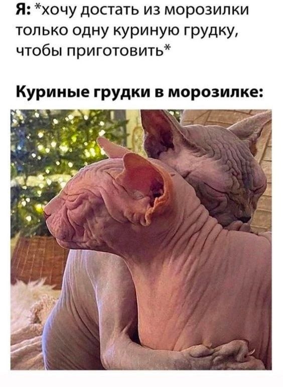 Я: *хочу достать из морозилки только одну куриную грудку, чтобы приготовить* Куриные грудки в морозилке: 2 as 3 i