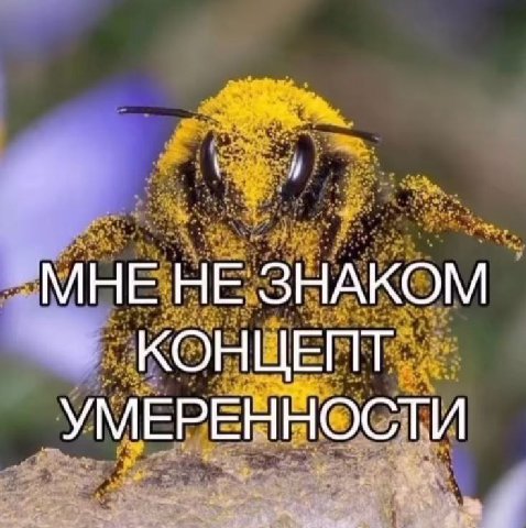 МНЕ НЕ ЗНАКОМ КОНЦЕПТ УМЕРЕННОСТИ