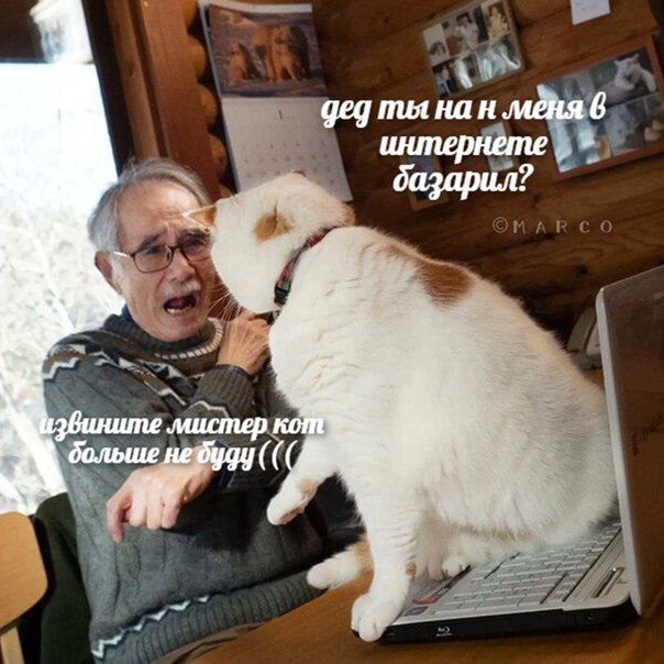 geg mua на н.мёня 6 базарил? 2”. больше не