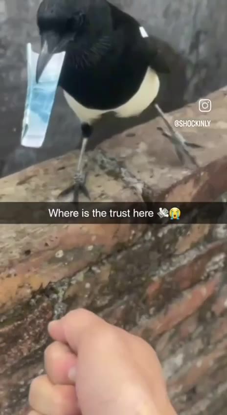 Where is the trust here %@®)