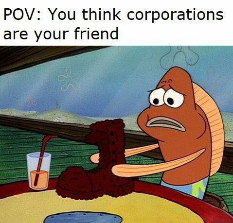 POV: You think corporations are your friend