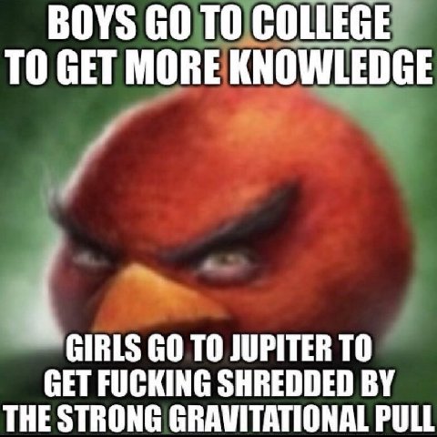 BOYS ТО COLLEGE TO GET MORE KNOWLEDGE и GIRLS ТО JUPITER ТО GET FUCKING SHREDDED THE STRONG PULL